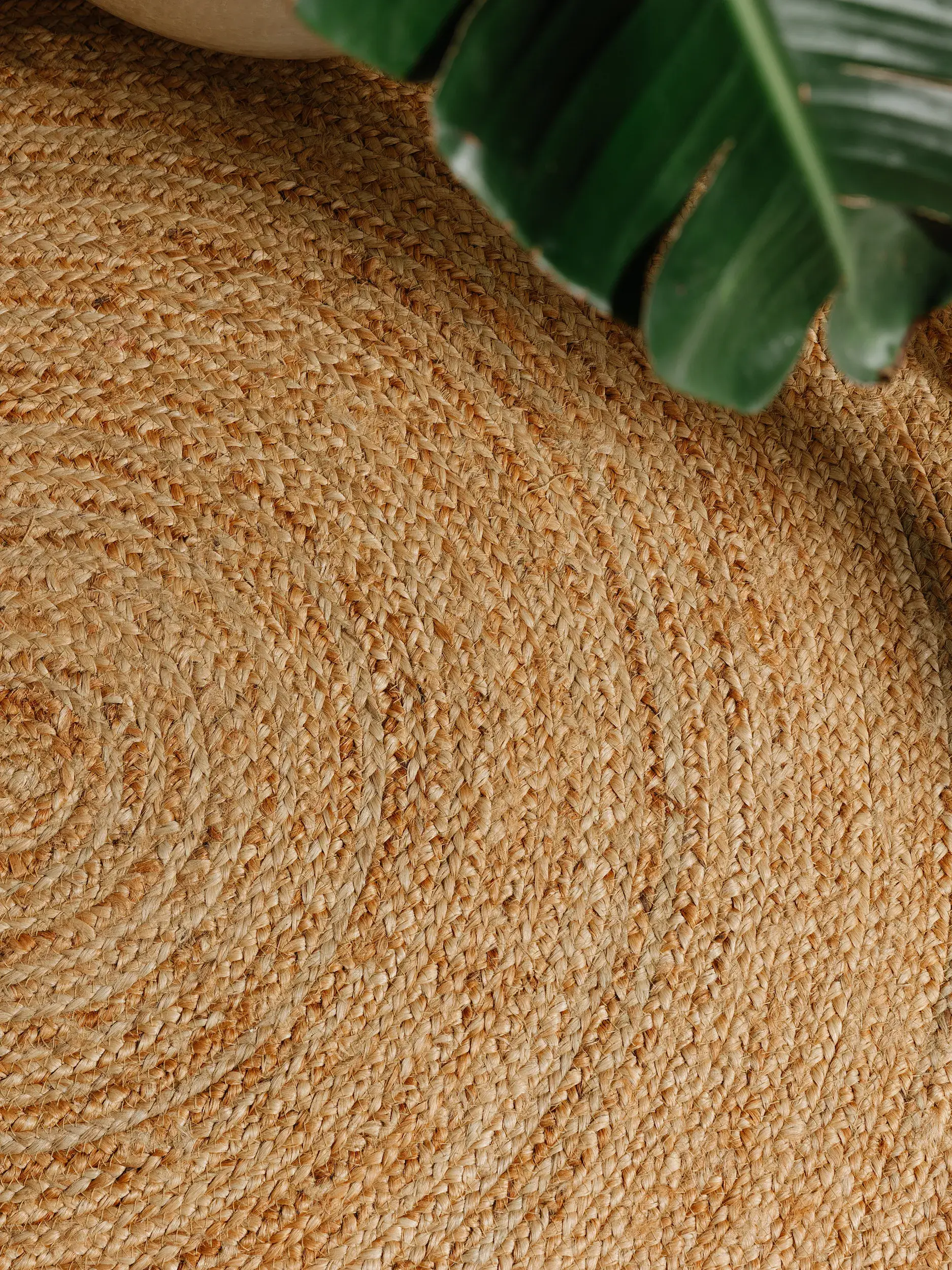 Teppich aus 100% Jute in Braun mit 100% Jute hohem Flor von benuta Pure