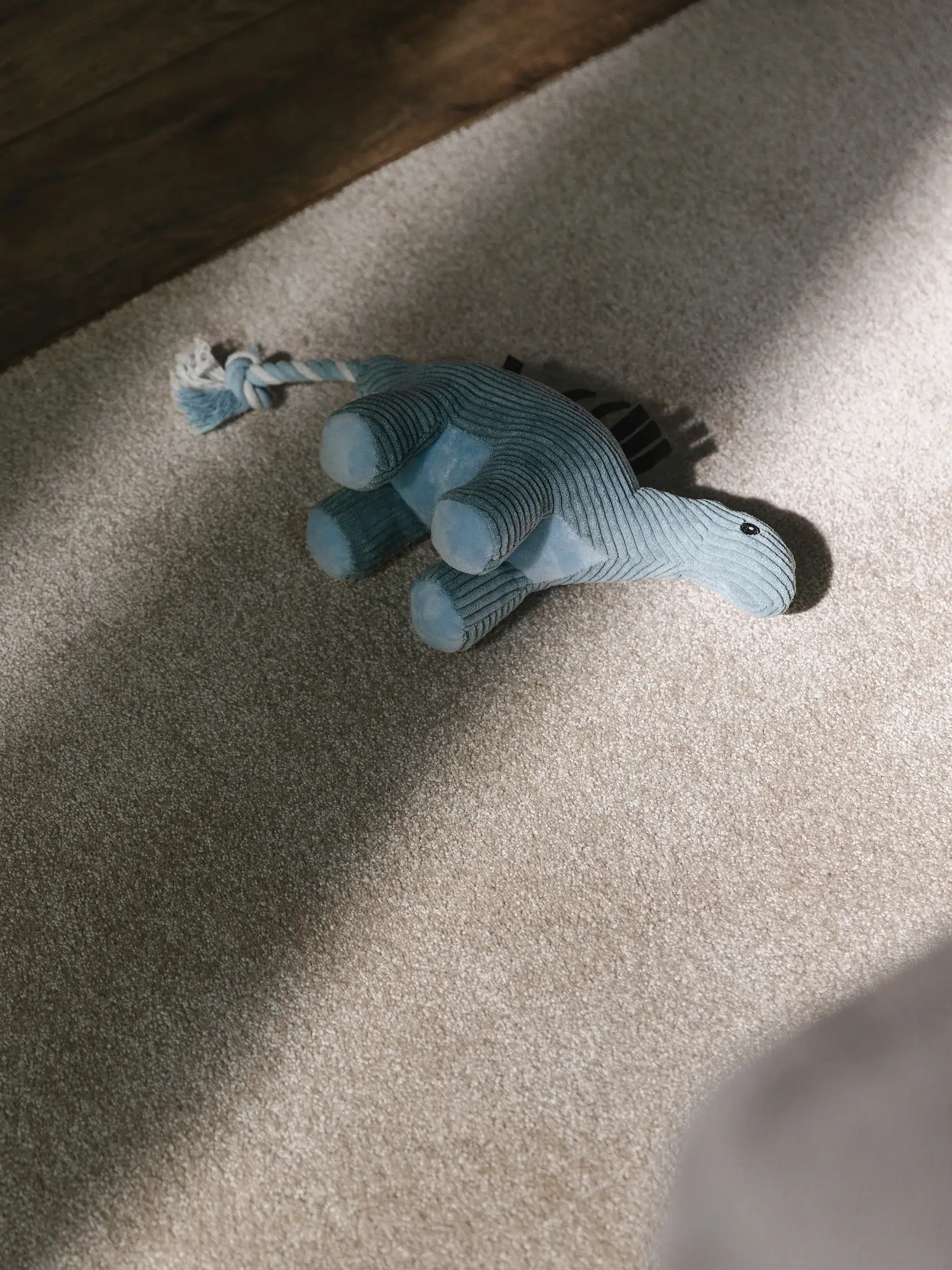 Teppich Melvin aus 100% Polypropylen in Beige von benuta Nest