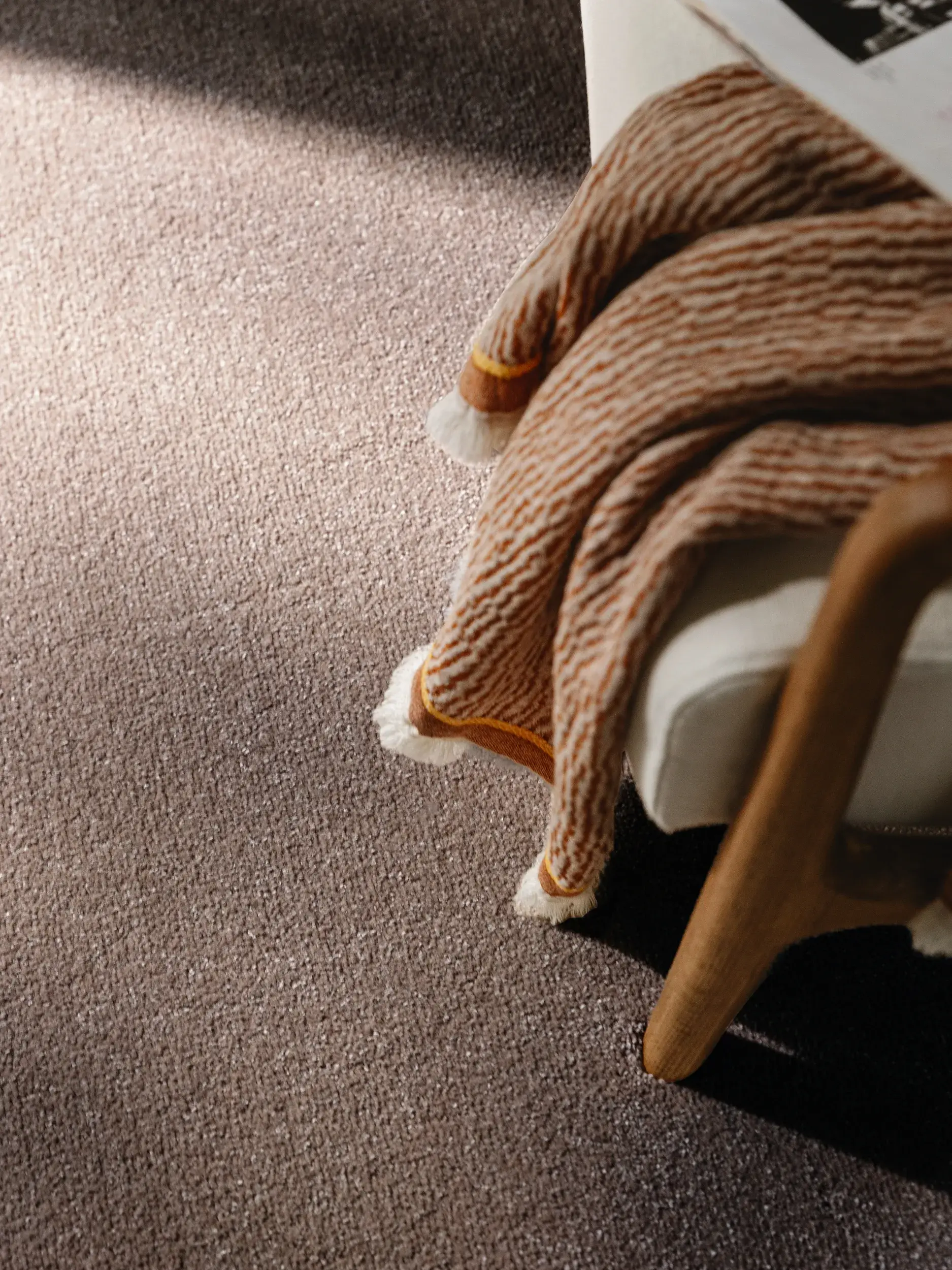 Rug Melvin made of 100% Polypropylen in Taupe by benuta Nest