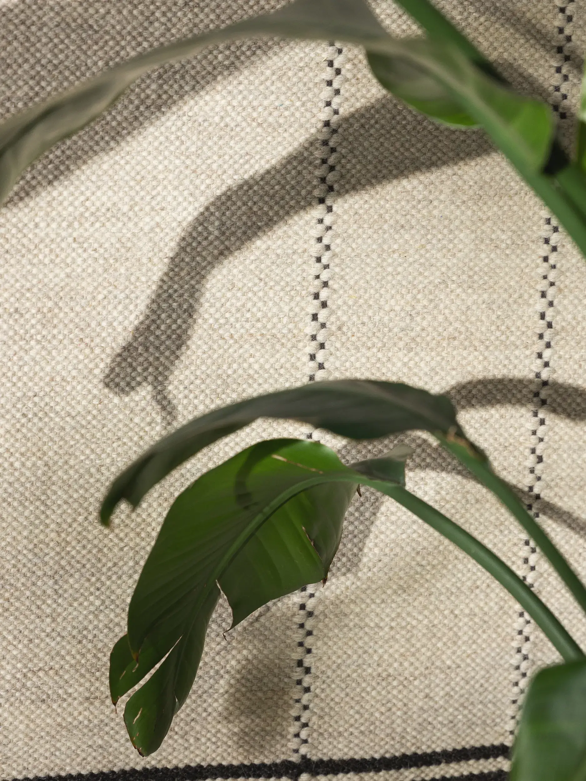 Rug made of 70% Wolle, 30% Baumwolle in Beige with a 70% Wolle, 30% Baumwolle high pile by benuta Pure
