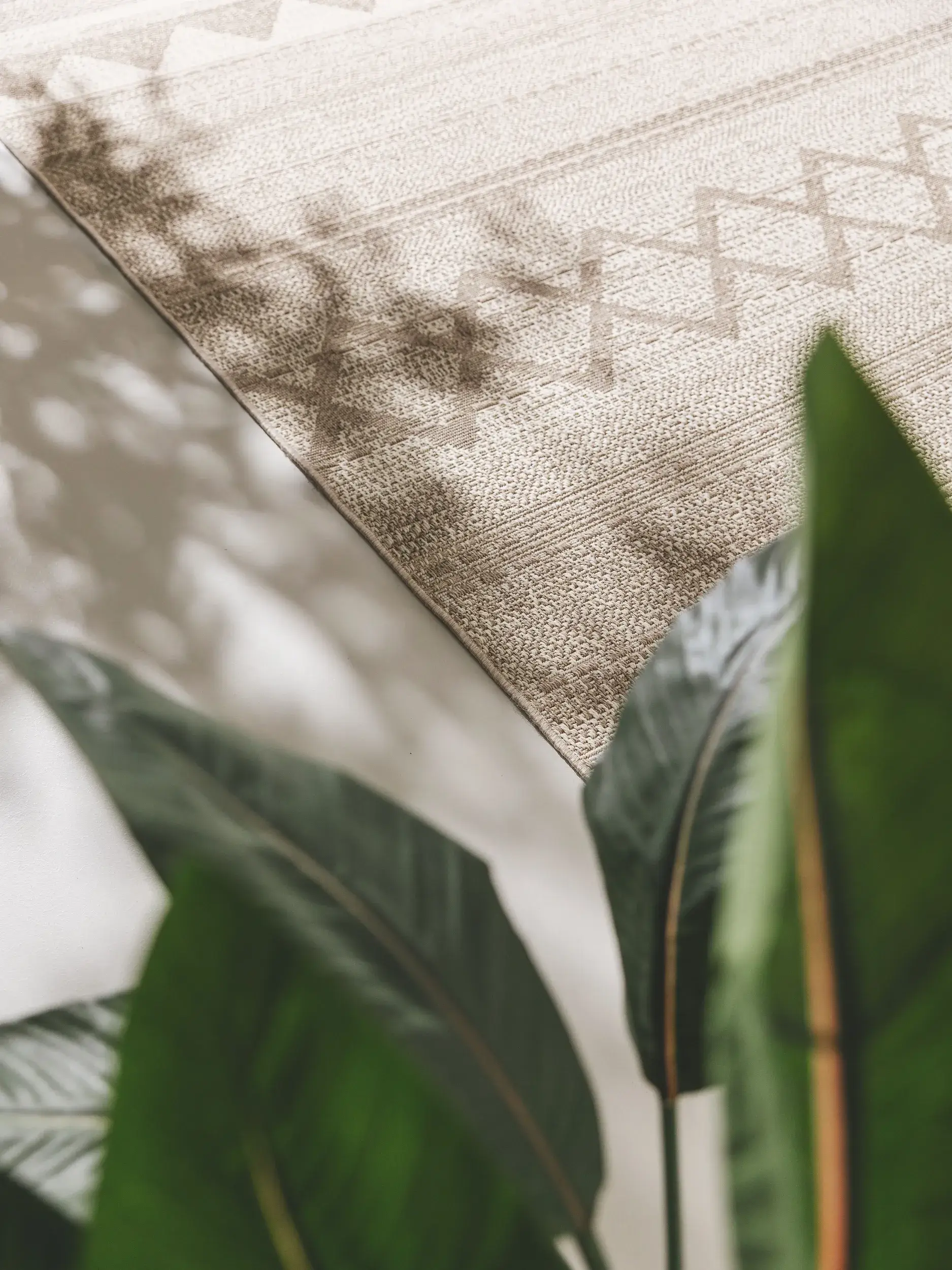 Teppich aus 100% Polypropylen in Taupe mit 100% Polypropylen hohem Flor von benuta Nest