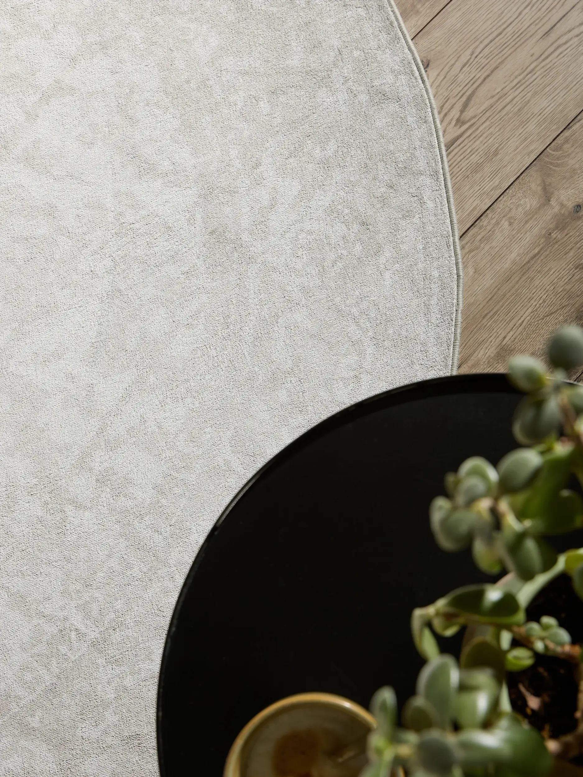 Teppe av 100% Polyester i Taupe med 100% Polyester høy lugg fra benuta Nest