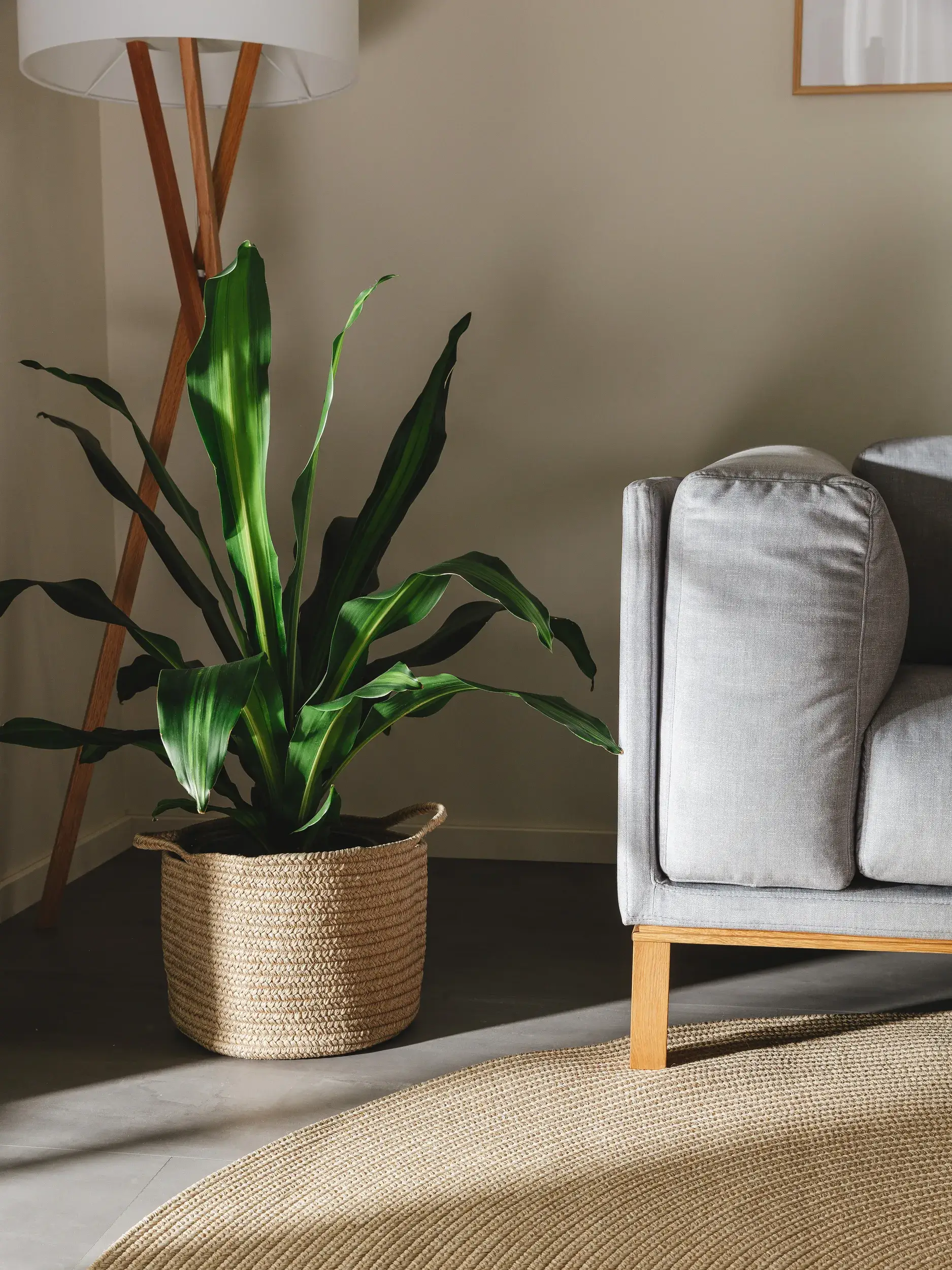 Korb Nandi Beige im Design  aus  von benuta Nest