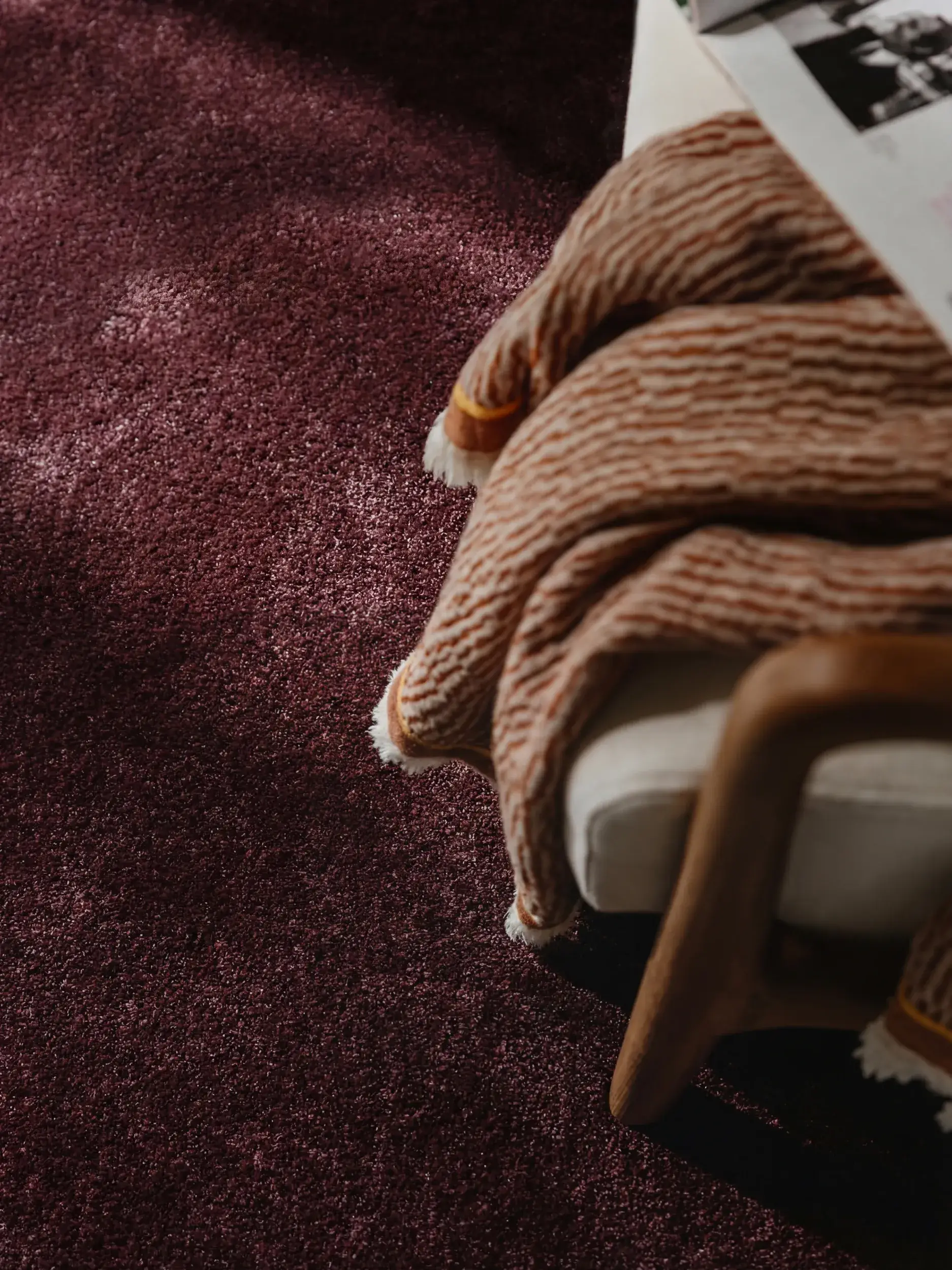 Tæppe Melvin af 100% Polypropylen i  fra benuta nest