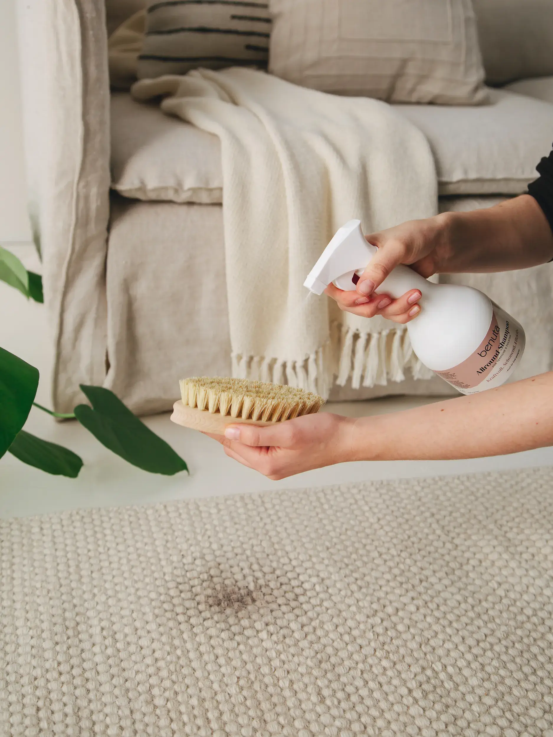 Teppichreiniger Set Fresh im Design  aus  von benuta