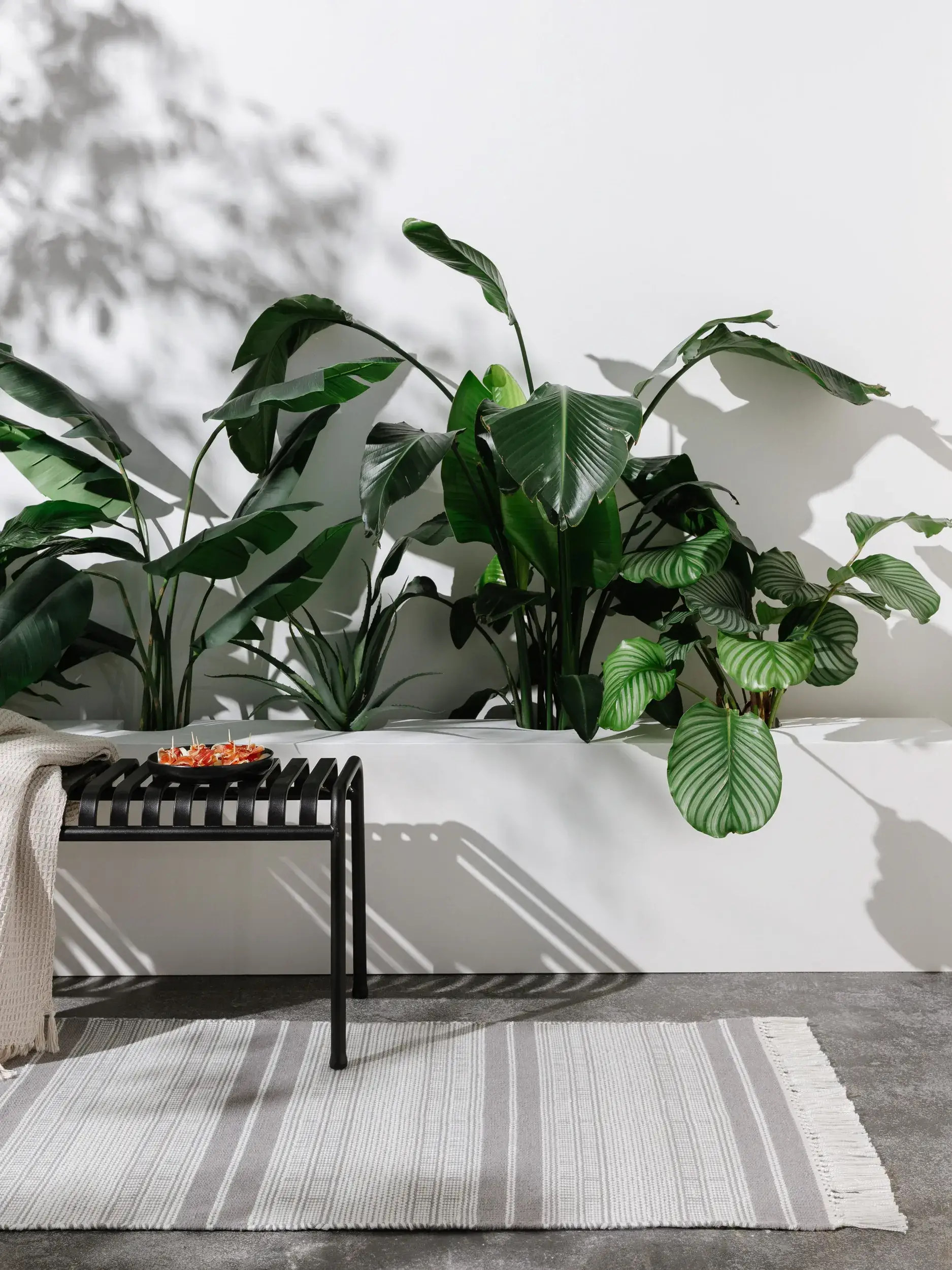 Rug made of 100% Polyester (recycled PET) in Grey with a 100% Polyester (recycled PET) high pile by benuta Nest