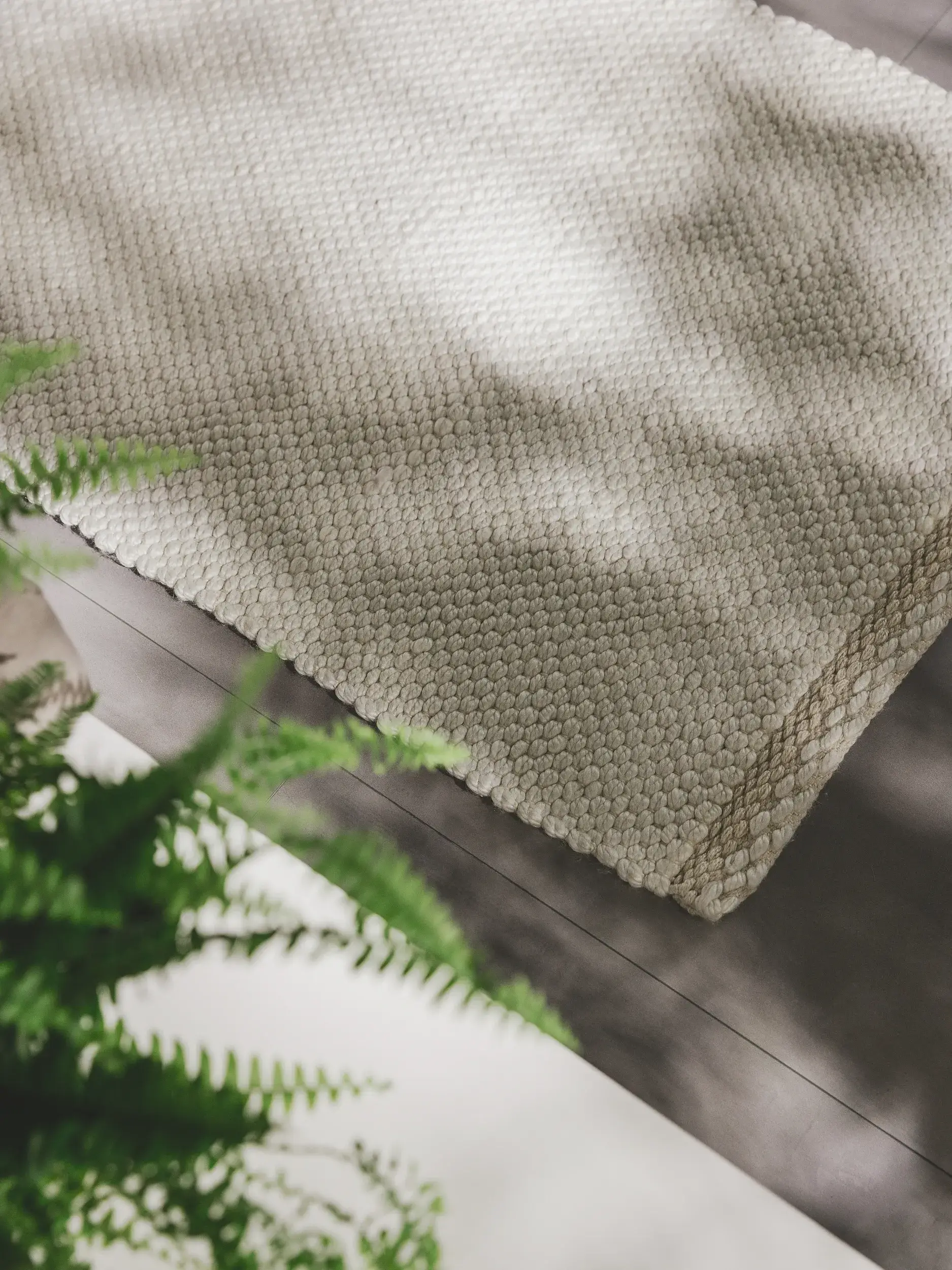 Rug made of 100% Polyester (recyceltes PET) in Beige with a 100% Polyester (recyceltes PET) high pile by benuta Pure