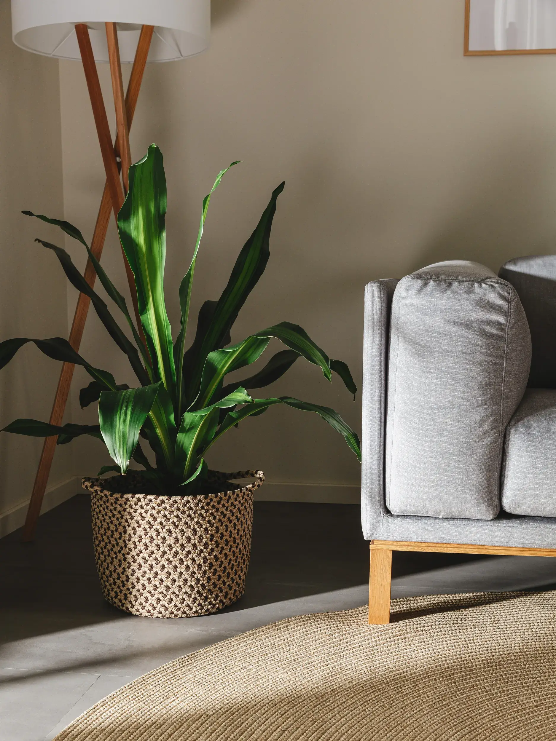 Korb Nandi Beige/Braun im Design  aus  von benuta Nest