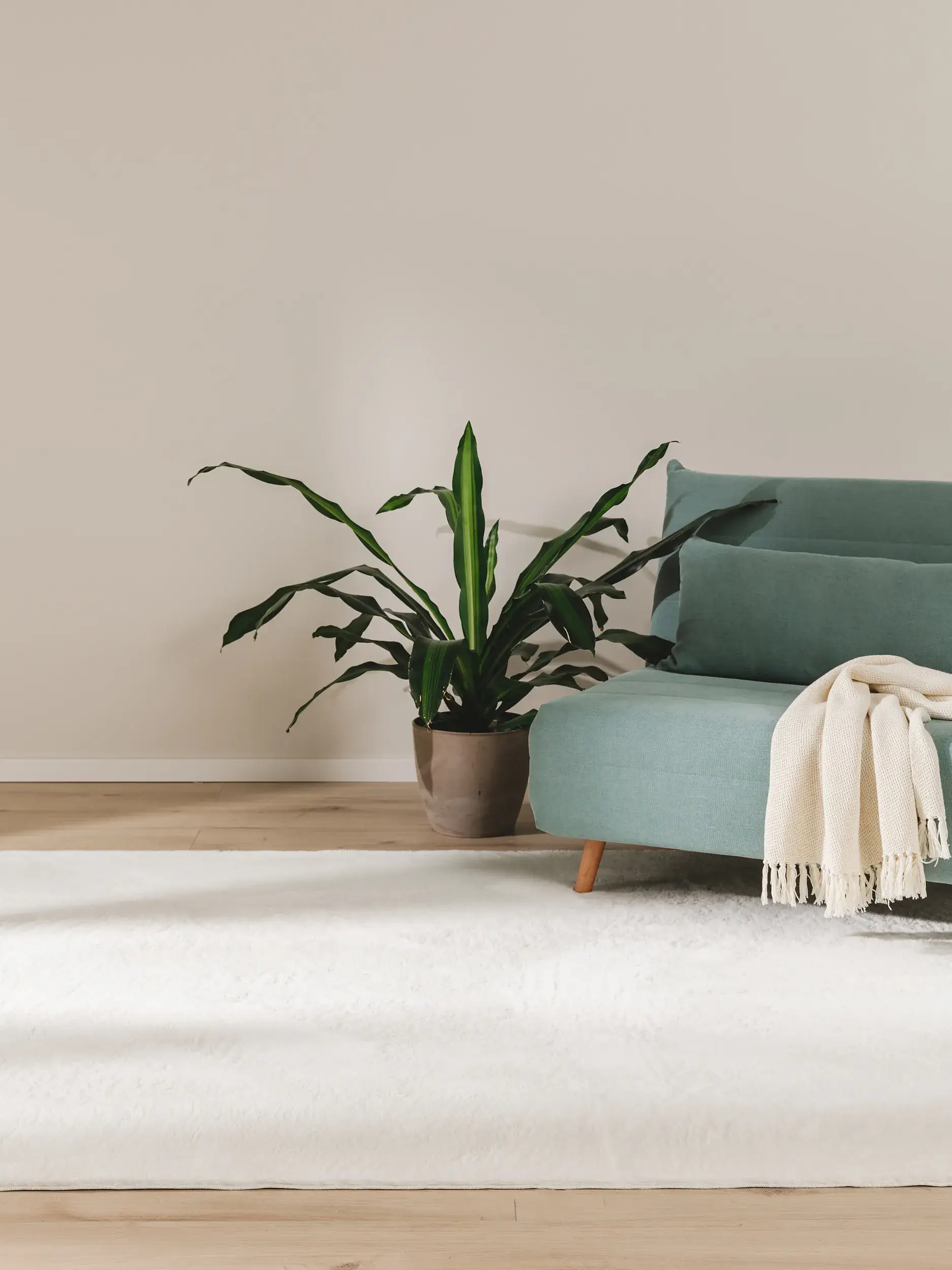 Teppich aus 100% Polyester in Beige mit 100% Polyester hohem Flor von benuta Basic