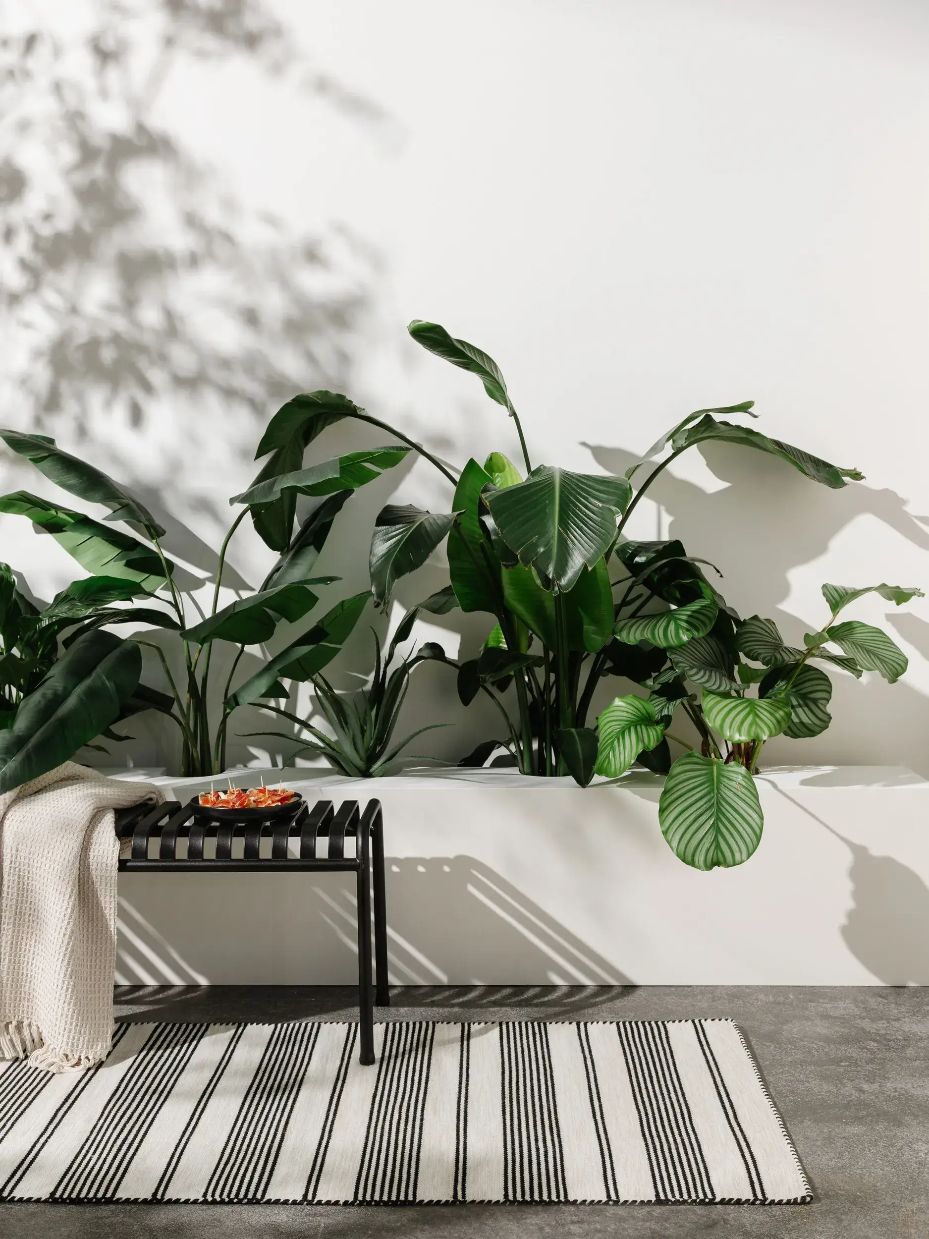 Matta Rida av 100% Polyester (återvunnen PET) i  från benuta nest