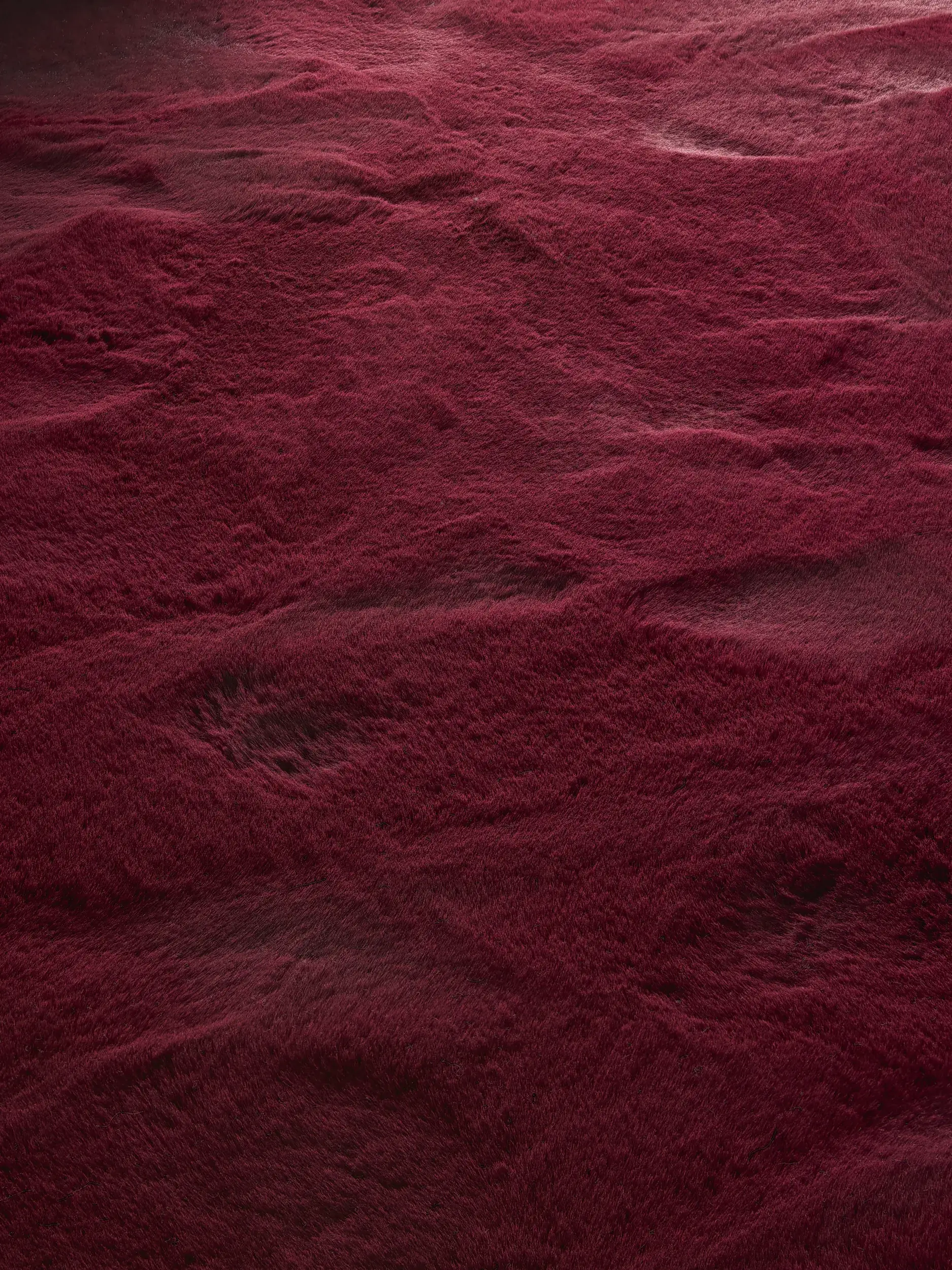 Tappeto di 100% Poliestere in Rosso con pelo alto 100% Poliestere da benuta Finest