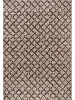 In- & Outdoor-Teppich Cleo Braun