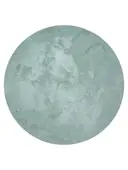 Fur Rug Dave Mint