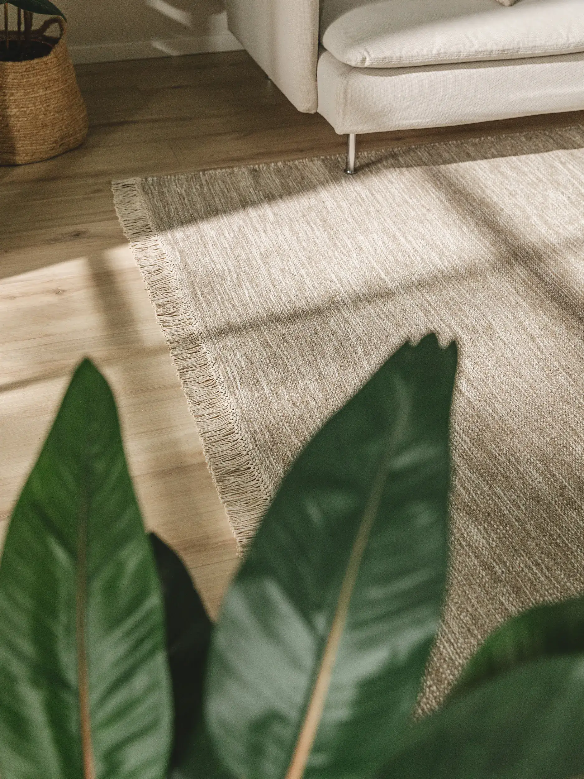 Tapijt van 80% Wol, 20% Katoen in Taupe met een 80% Wol, 20% Katoen hoge pool van benuta pure