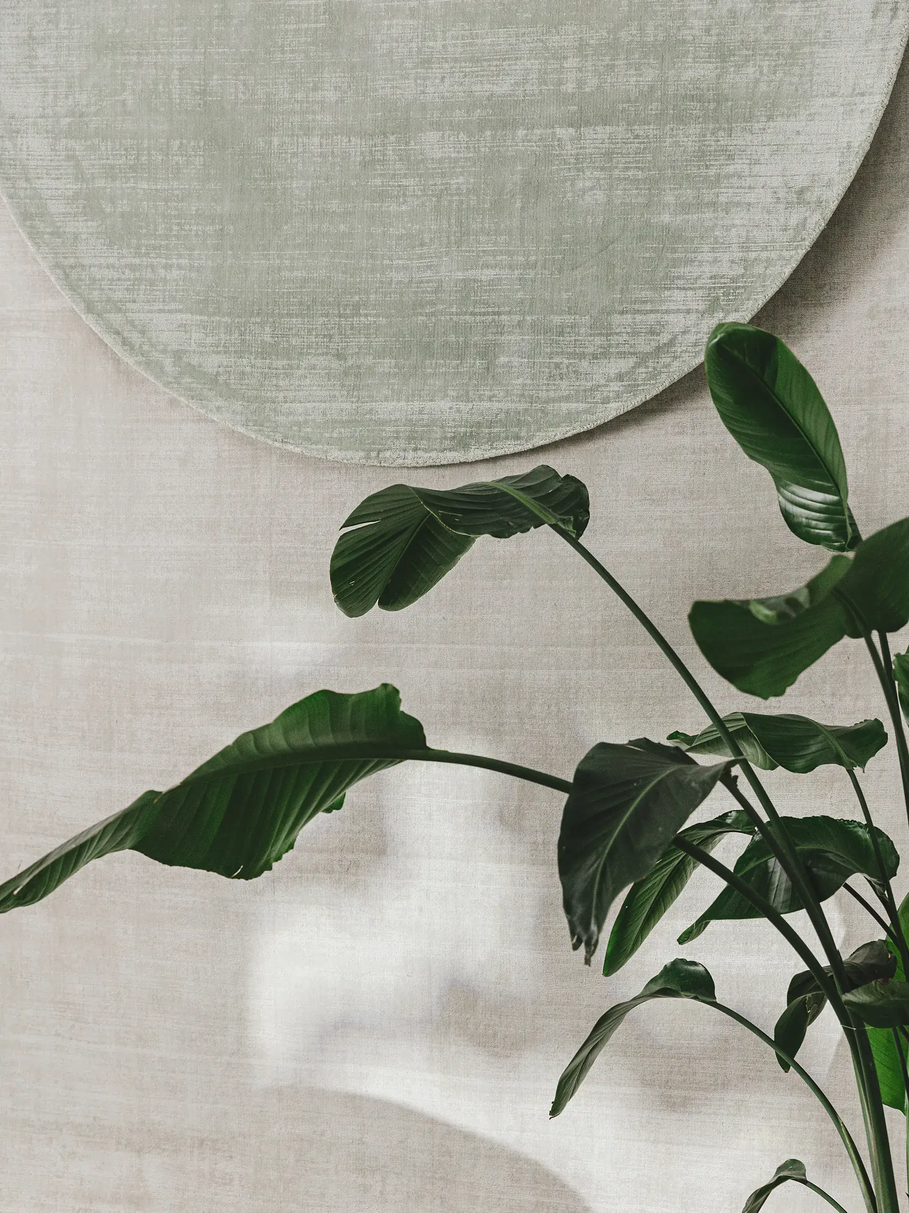 Teppich aus 100% Viskose in Grün mit 100% Viskose hohem Flor von benuta Pure