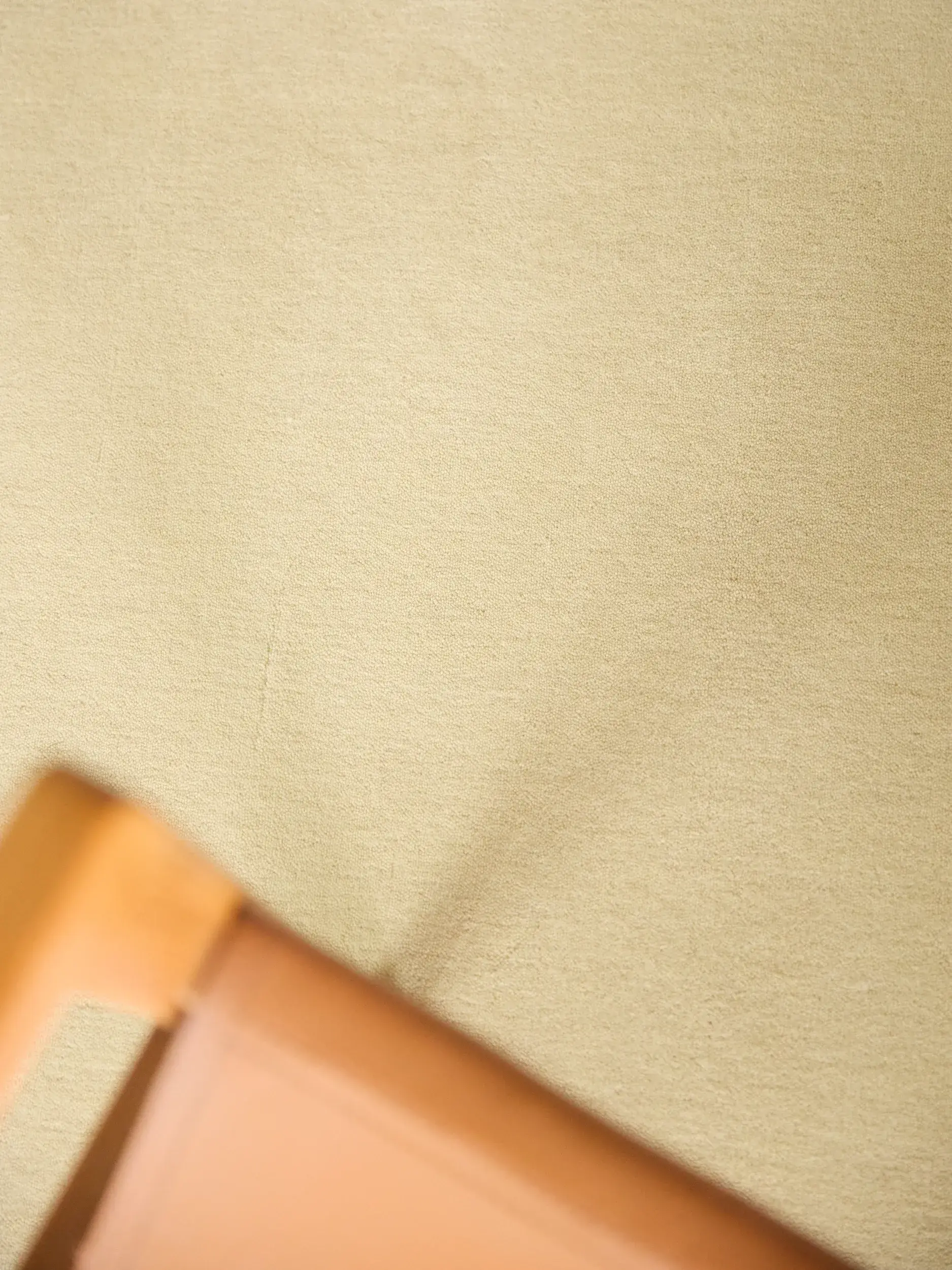 Koberec Mono z 100% Vlna (z Nového Zélandu) v  od benuta Finest