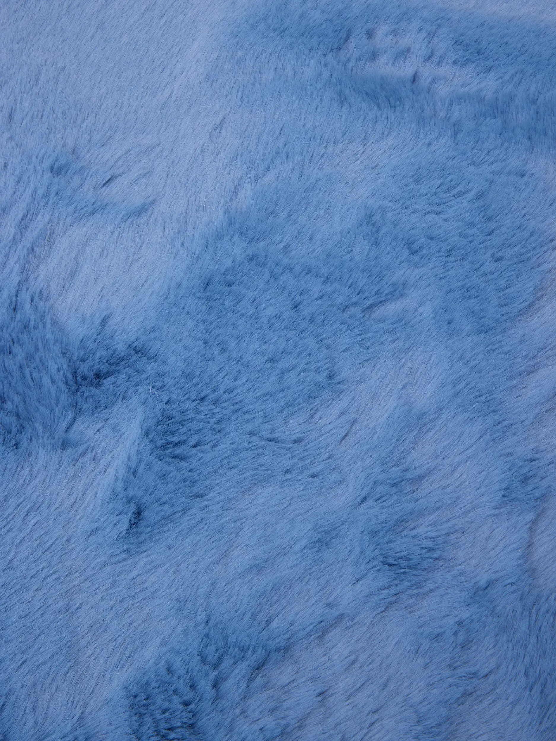 Teppich Dave aus 100% Polyester in Blau von Lytte