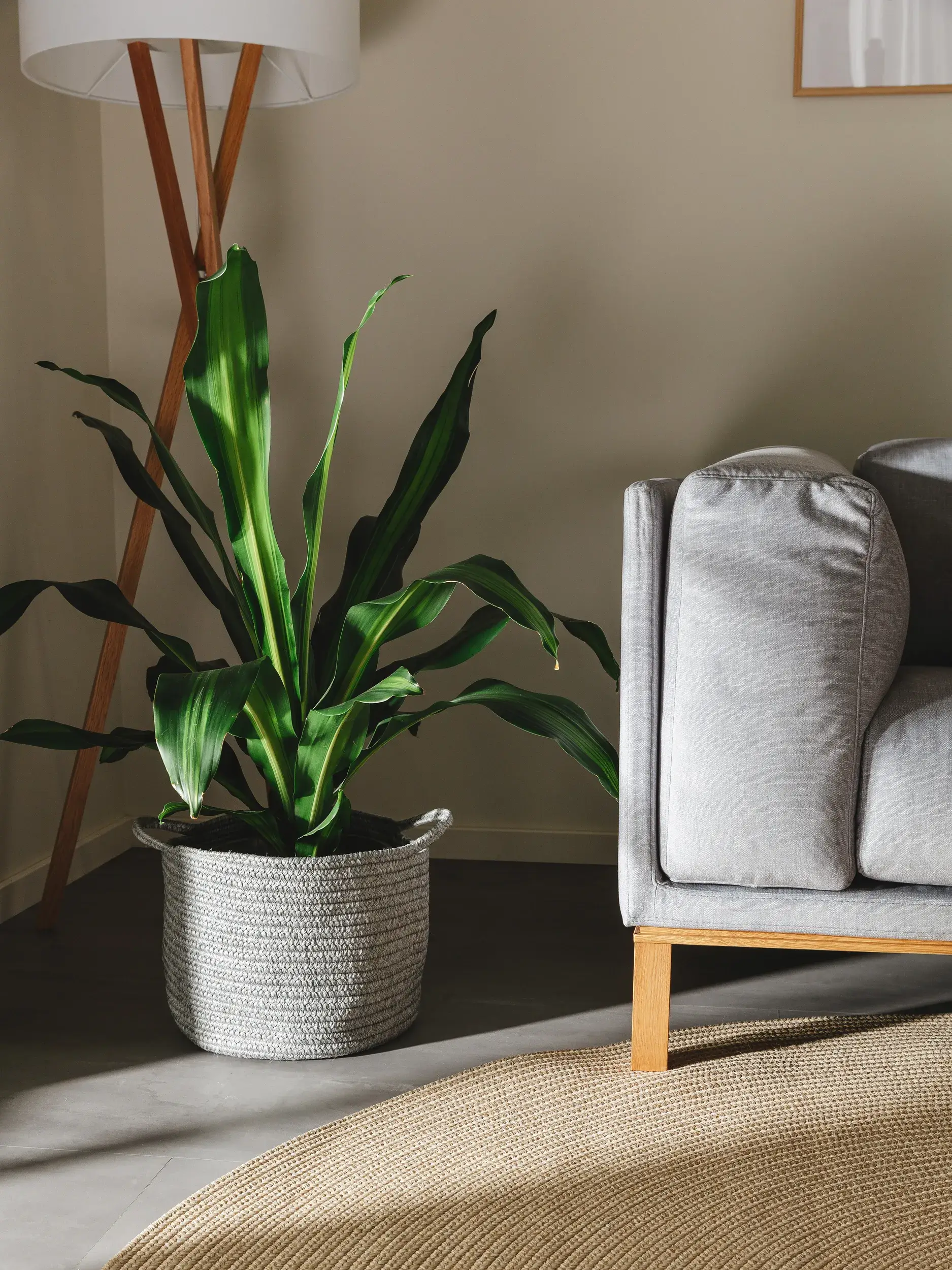 Korb Nandi Grau im Design  aus  von benuta Nest