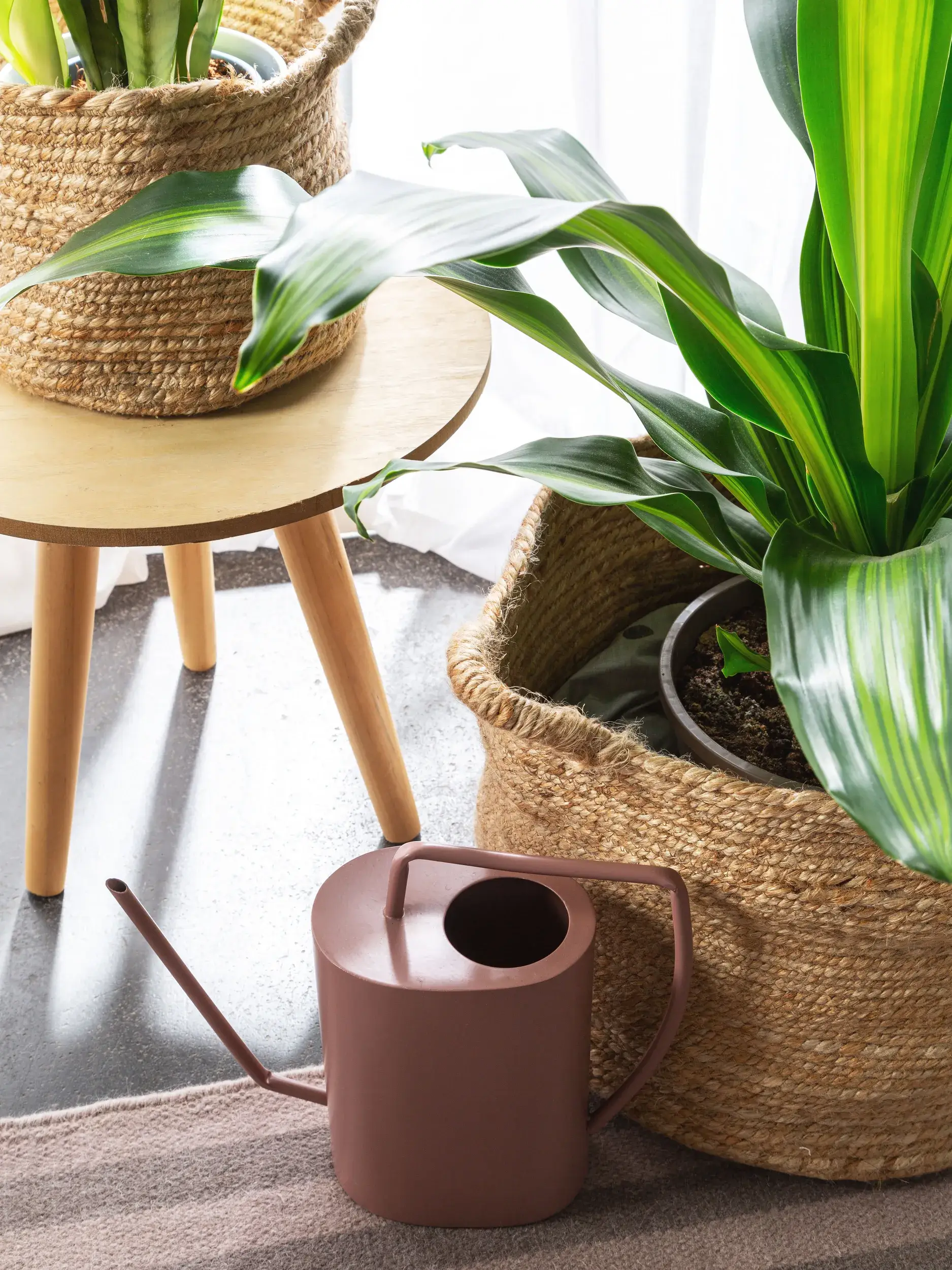 Korb-Set (3-tlg.) Aylin Natur im Design Plain aus 100% Hemp von benuta Pure